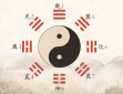 闻道动图专家